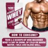 Master Dream Bodies How to Consume Beginner Whey