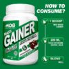 MDB Mass Gainer 1 Kg - How to Consume