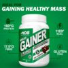 MDB Mass Gainer 1 Kg Value