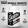 Master Dream Bodies Casein Benefits